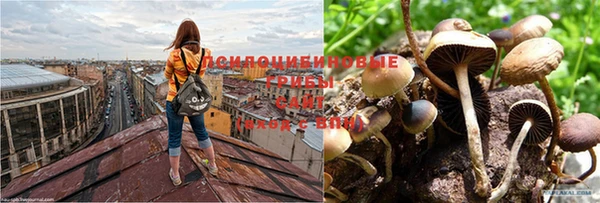 хмурый Рославль