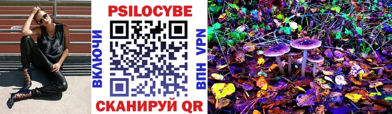 Псилоцибиновые грибы мицелий  omg tor  Дудинка 